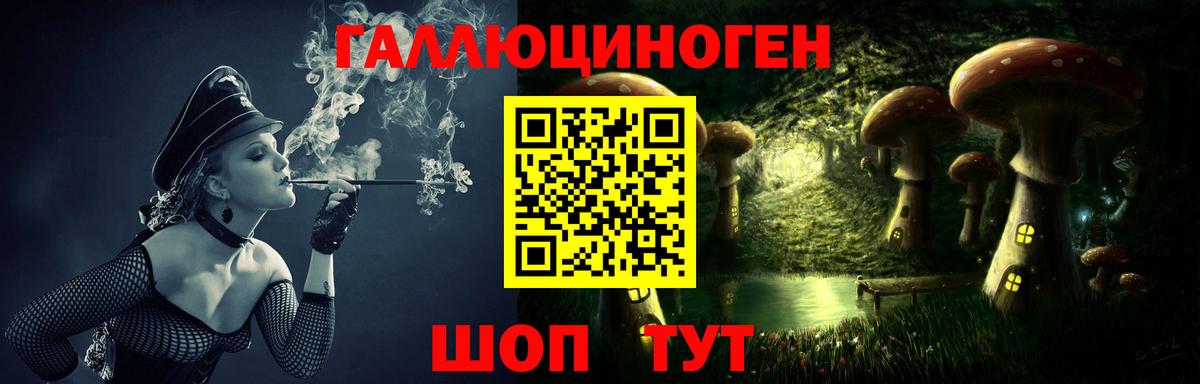 Псилоцибиновые грибы MAGIC MUSHROOMS  Вход с VPN  Галлюциногенные грибы Psilocybe  Ковров 